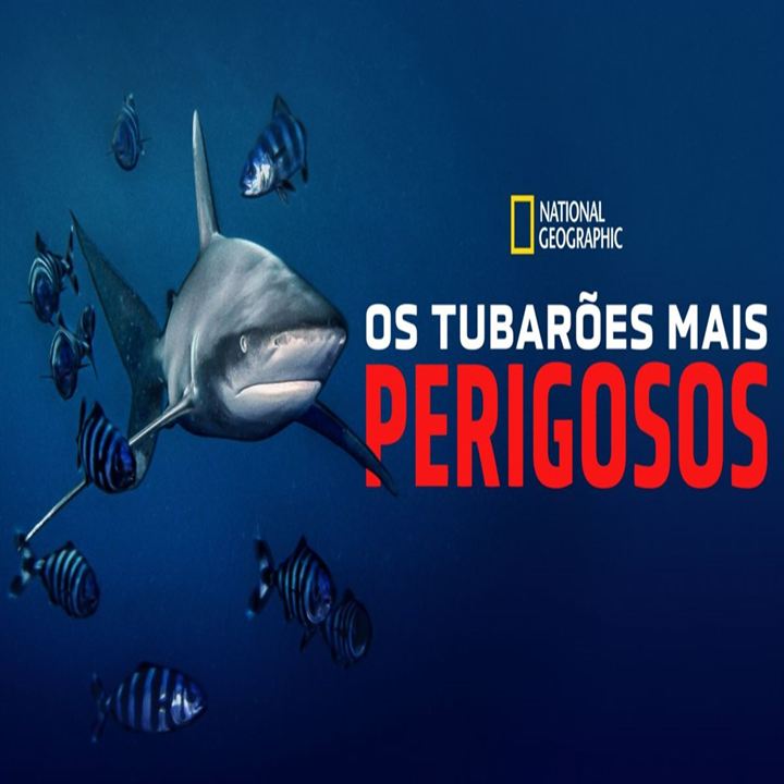 Os Tubarões Mais Perigosos : Poster