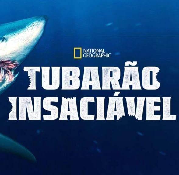 Tubarão Insaciável : Poster