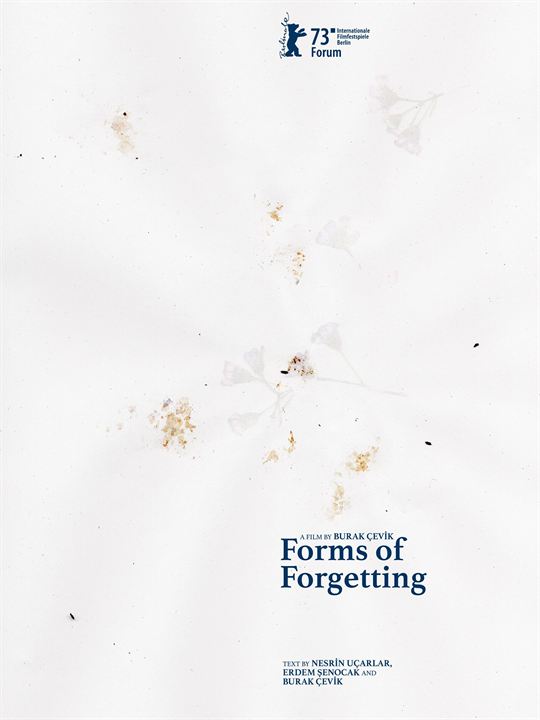 Forms of Forgetting : Poster