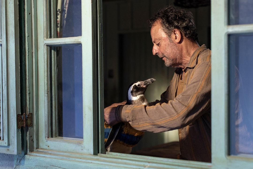 Meu Amigo Pinguim : Fotos