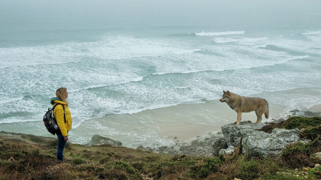 O Livro dos Sonhos : Fotos Alexandra Lamy