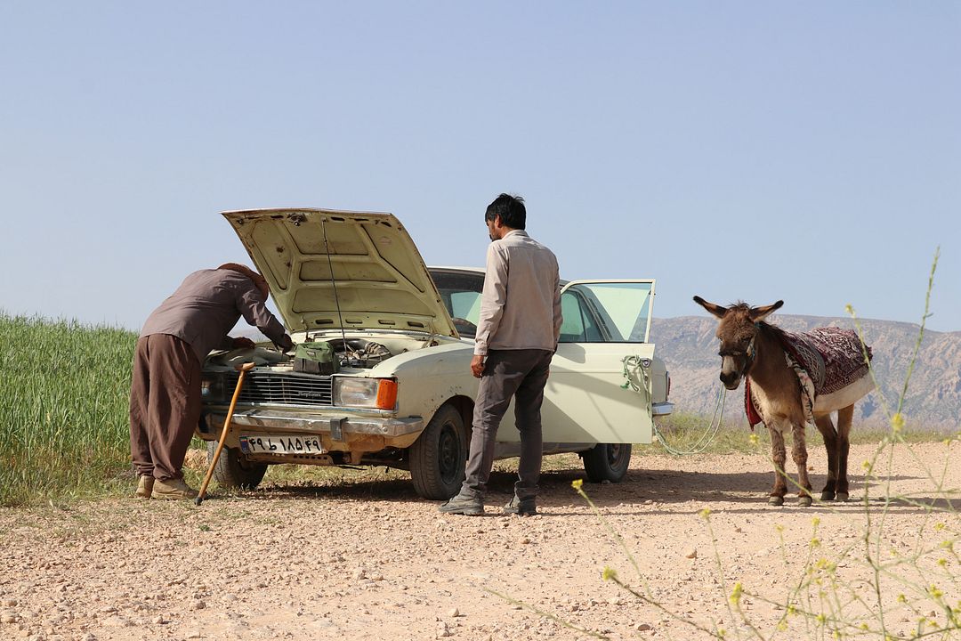 Fotos Hadi Mohaghegh