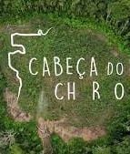 Cabeça do Cachorro : Poster