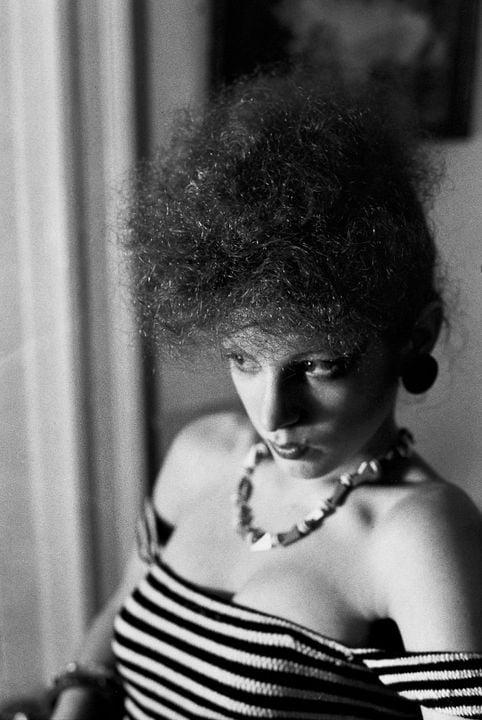 All The Beauty And The Bloodshed : Fotos