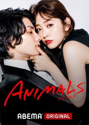 Animais : Poster
