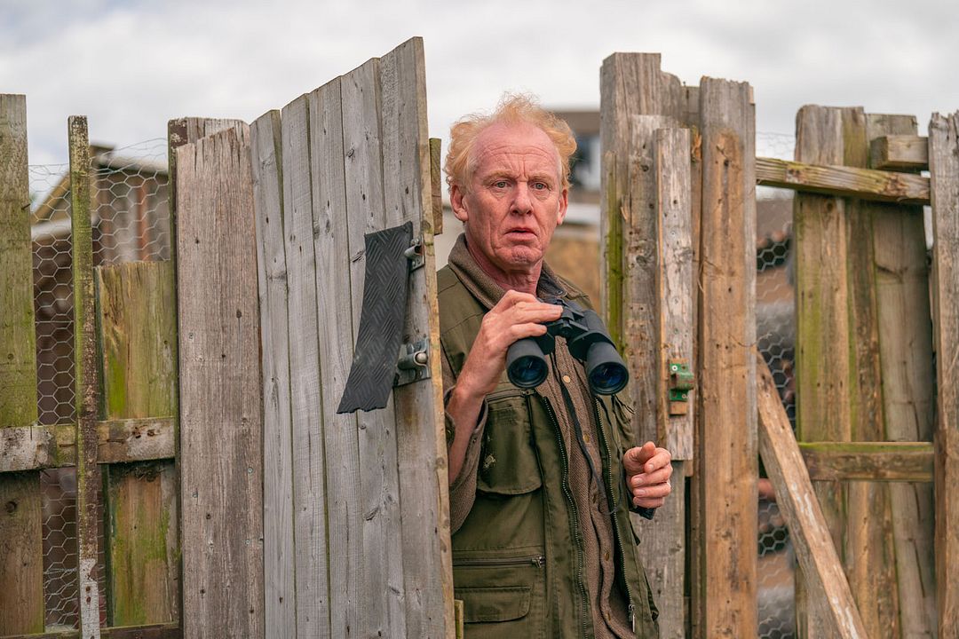 Fotos Steve Huison
