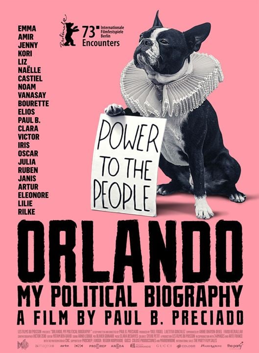 Orlando, Minha Biografia Política : Poster