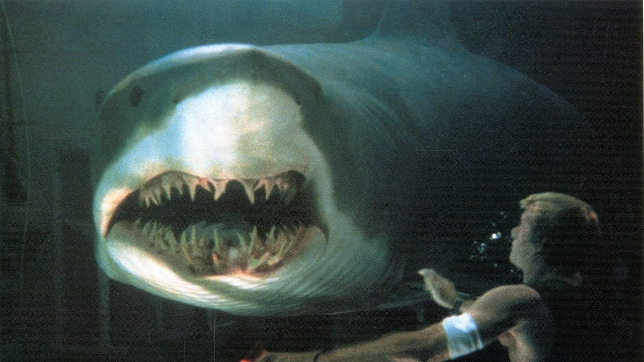 Do Fundo do Mar : Fotos