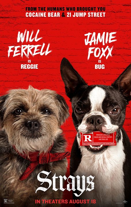 Ruim pra Cachorro : Poster