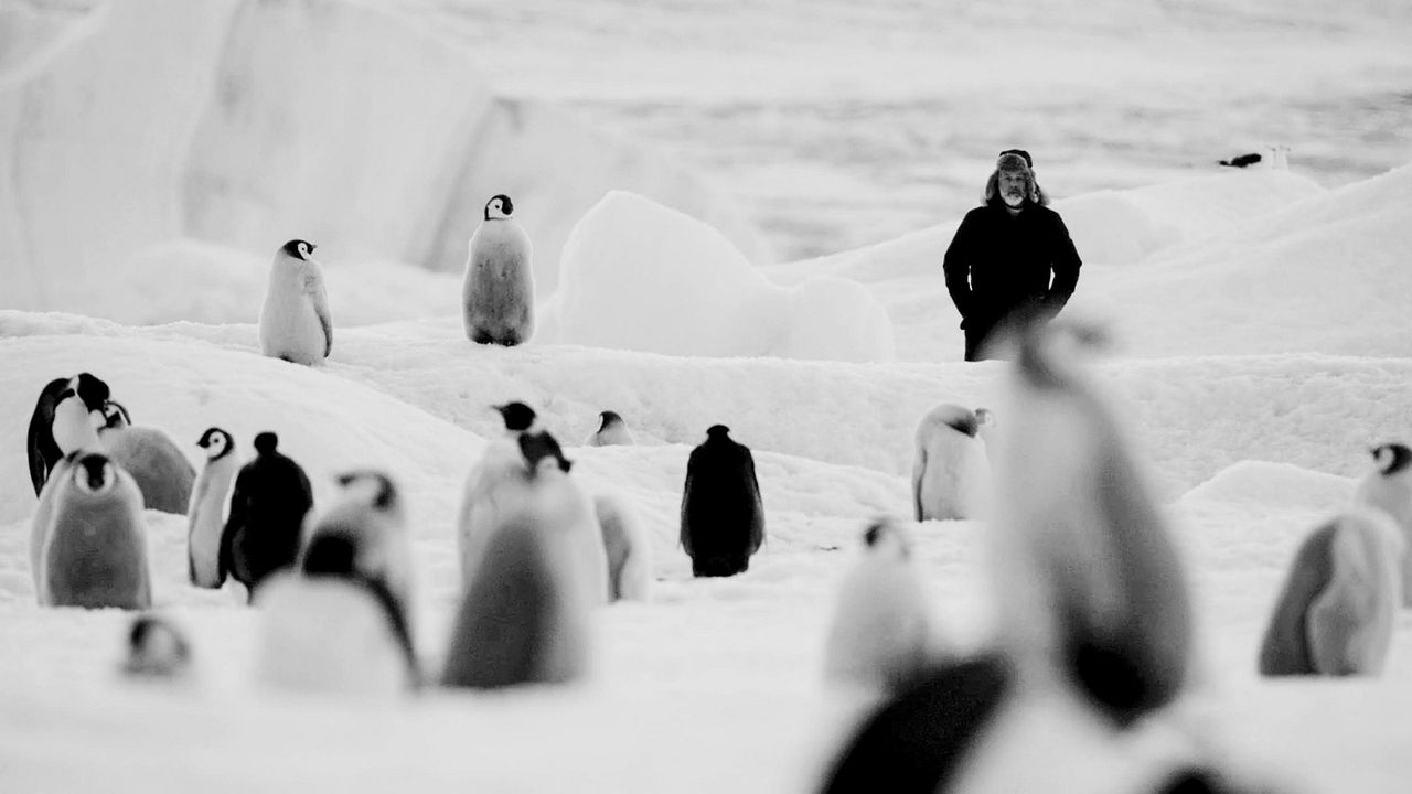 Antártica: Continente Magnético : Fotos