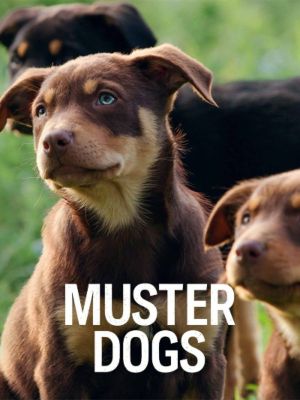 Muster Dogs : Poster