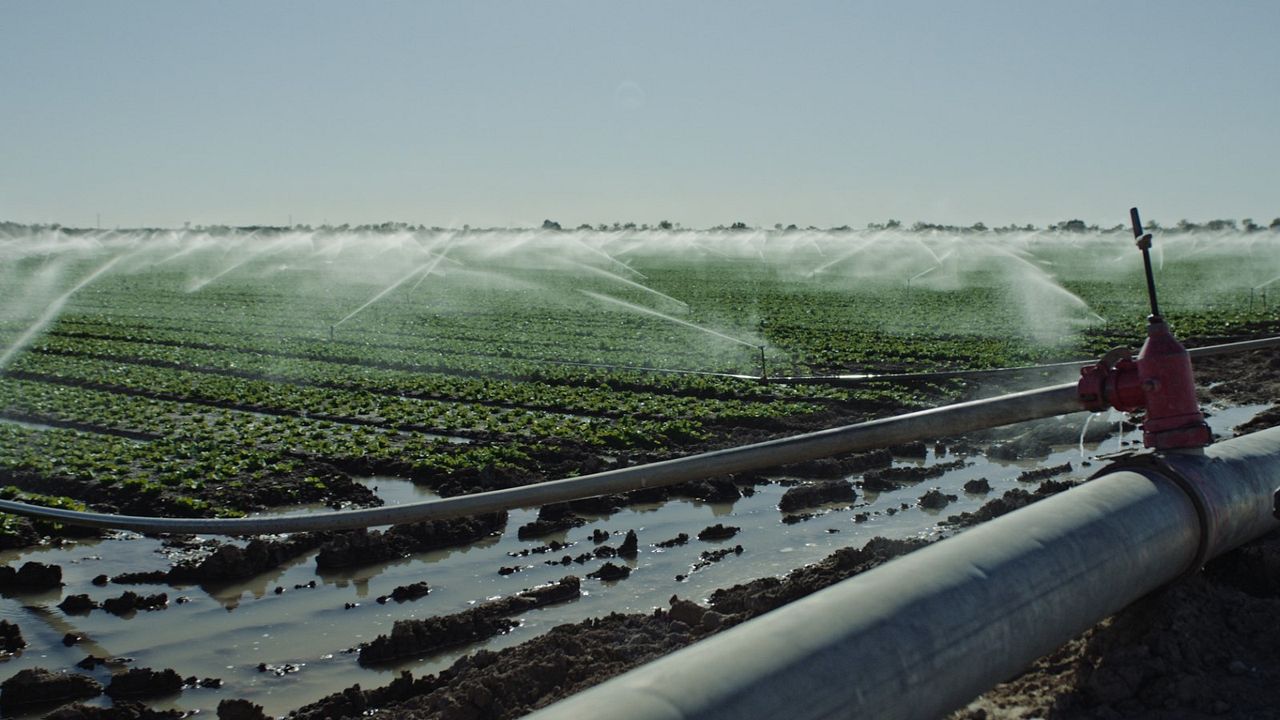 Contaminação: A Verdade Sobre o que Comemos : Fotos