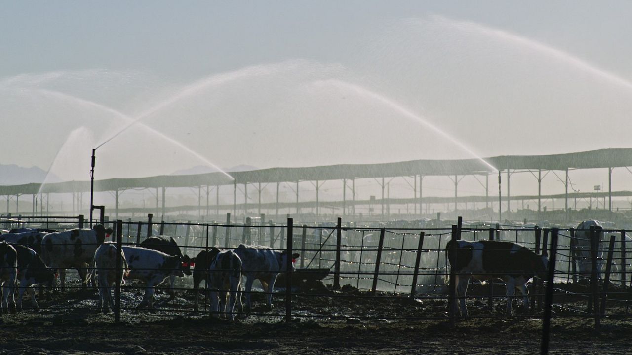 Contaminação: A Verdade Sobre o que Comemos : Fotos
