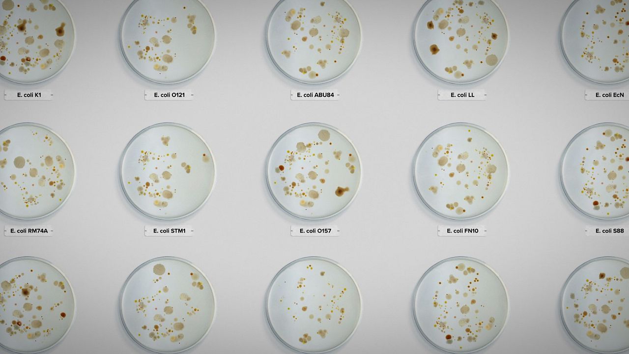 Contaminação: A Verdade Sobre o que Comemos : Fotos