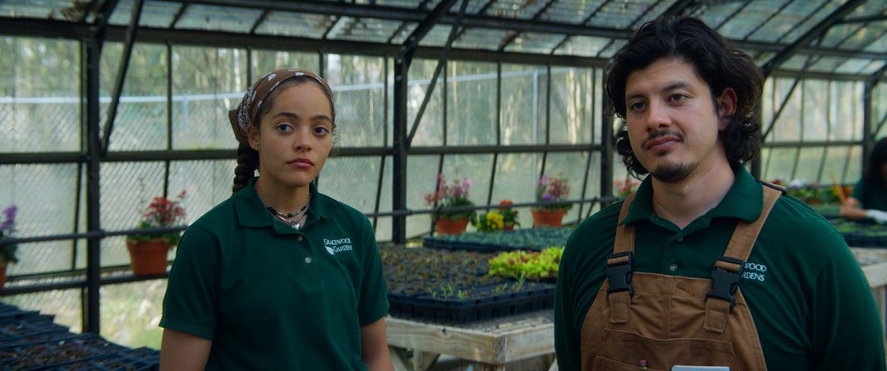 Jardim dos Desejos : Fotos