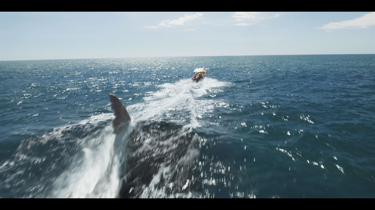 O Demônio dos Mares : Fotos