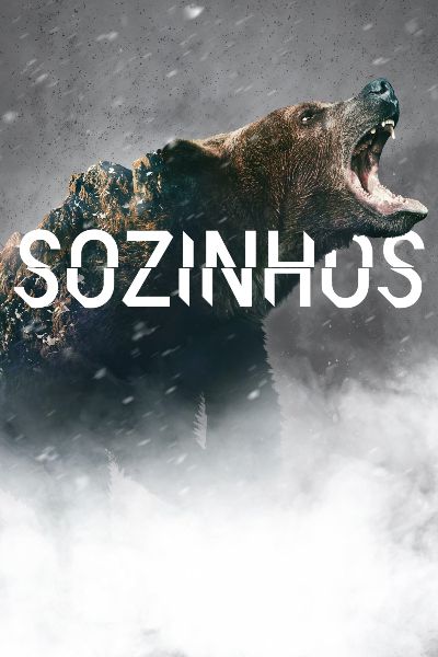 Sozinhos : Poster
