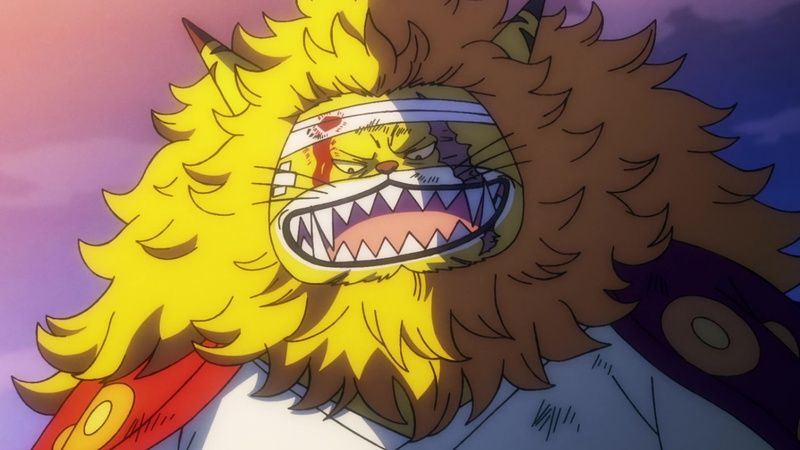 One Piece : Fotos