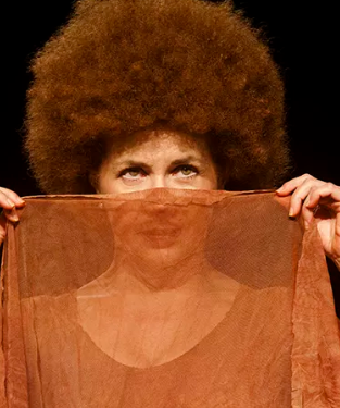 Poster Márcia do Valle