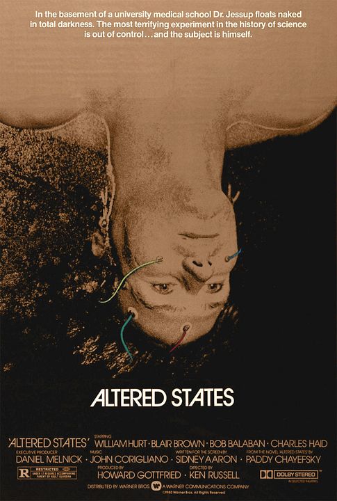 Viagens Alucinantes : Poster