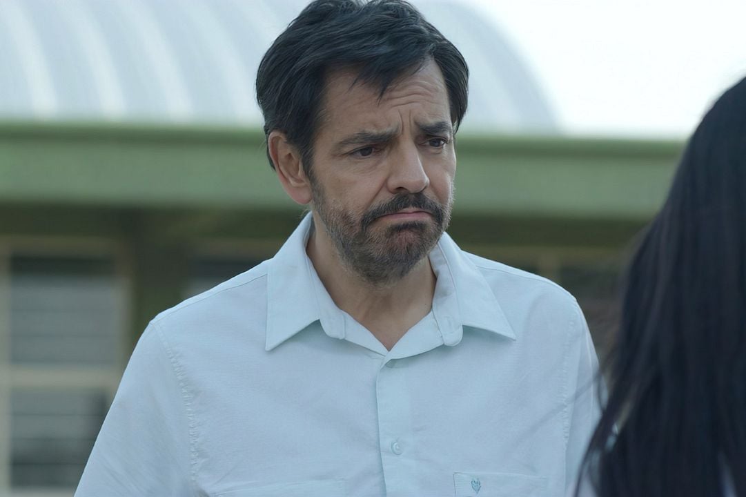 Radical: Ensinamentos de Um Professor  : Fotos