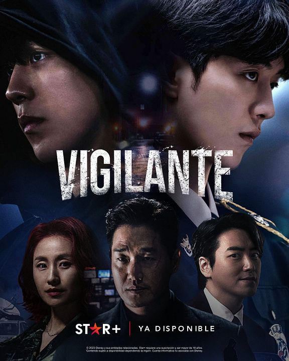 Vigilante : Poster