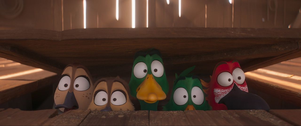 Patos! : Fotos