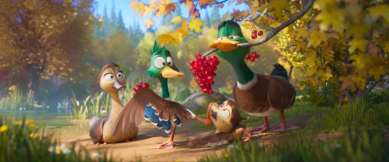 Patos! : Fotos