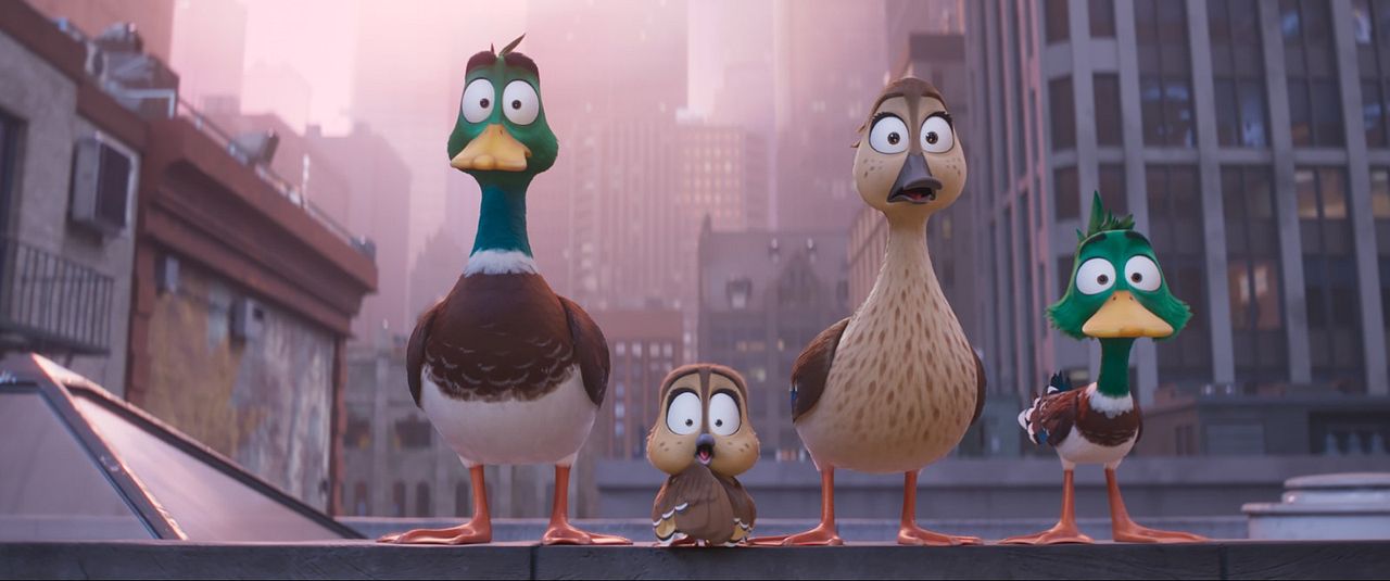 Patos! : Fotos