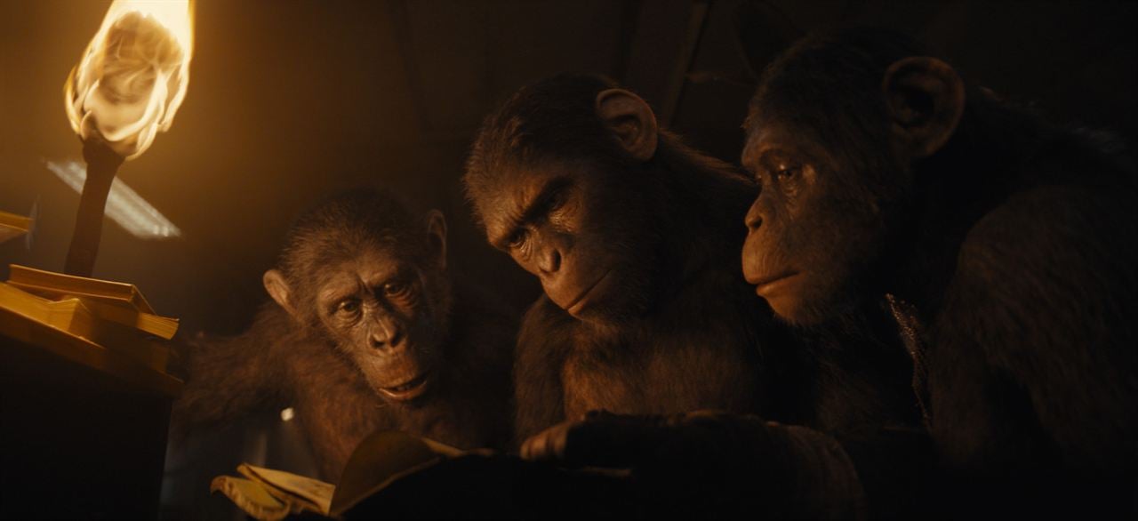 Planeta dos Macacos: O Reinado : Fotos
