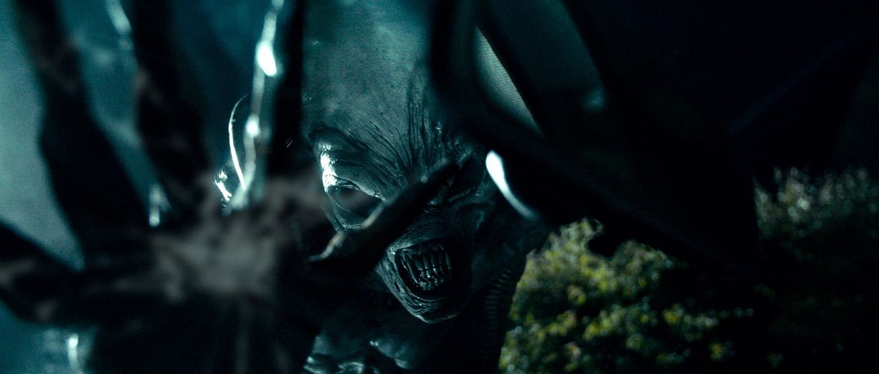 O Predador Alienígena : Fotos
