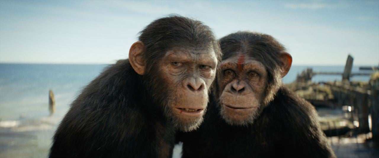 Planeta dos Macacos: O Reinado : Fotos