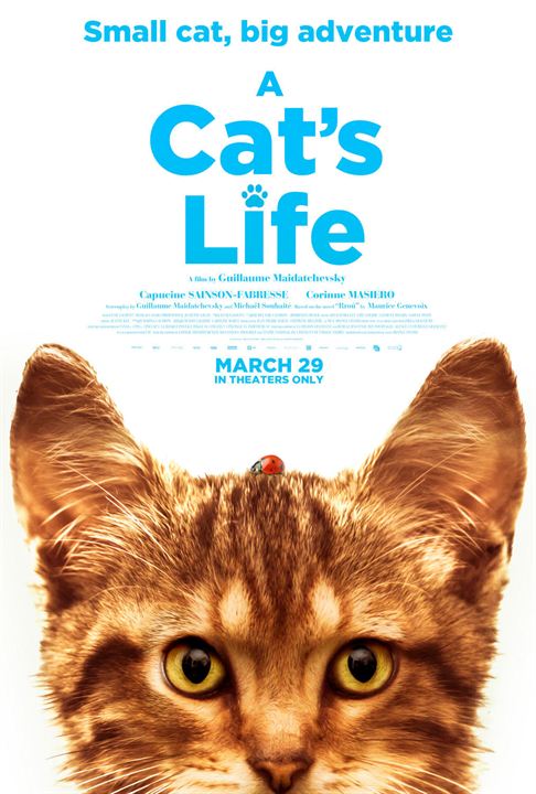A Cat's Life : Poster
