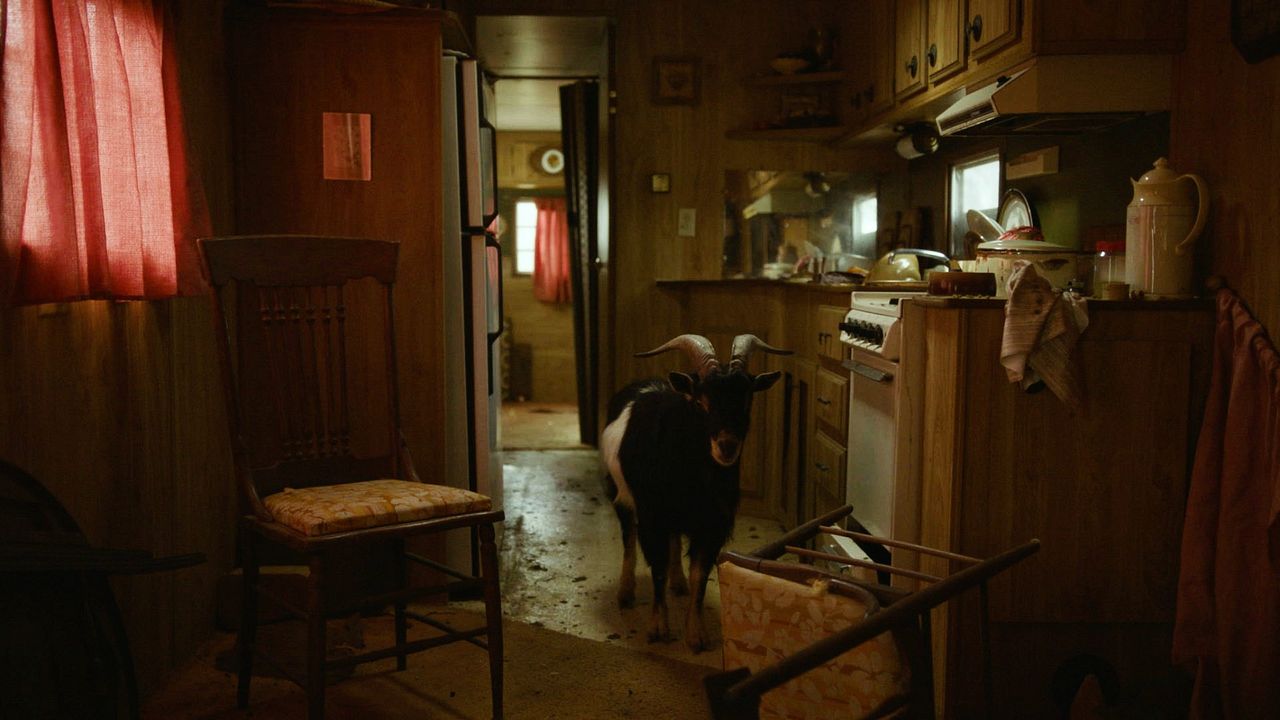 A Hibernação Humana : Fotos