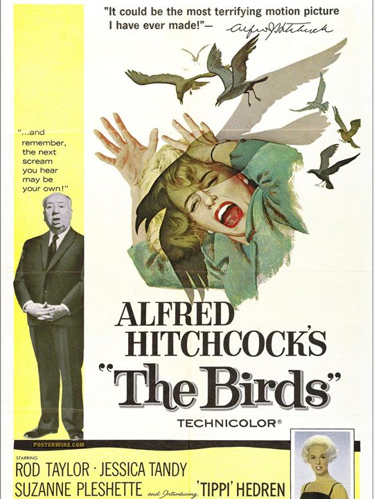 Os Pássaros : Poster