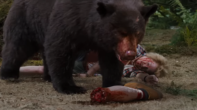 Cocaine Bear: filme conta a história de urso que consumiu cocaína