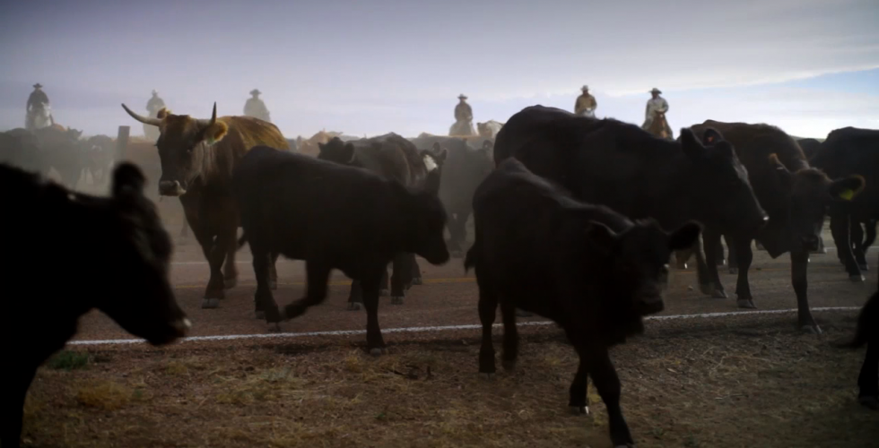 Trailer do filme Hanna Ranch - Hanna Ranch Trailer Original - AdoroCinema