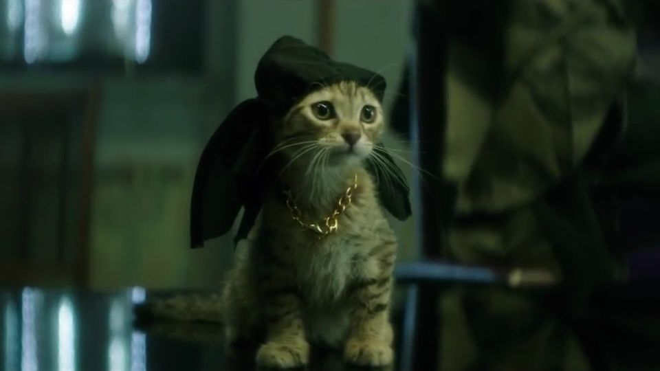 Trailer do filme Keanu Cadê Meu Gato?! Keanu Trailer Original