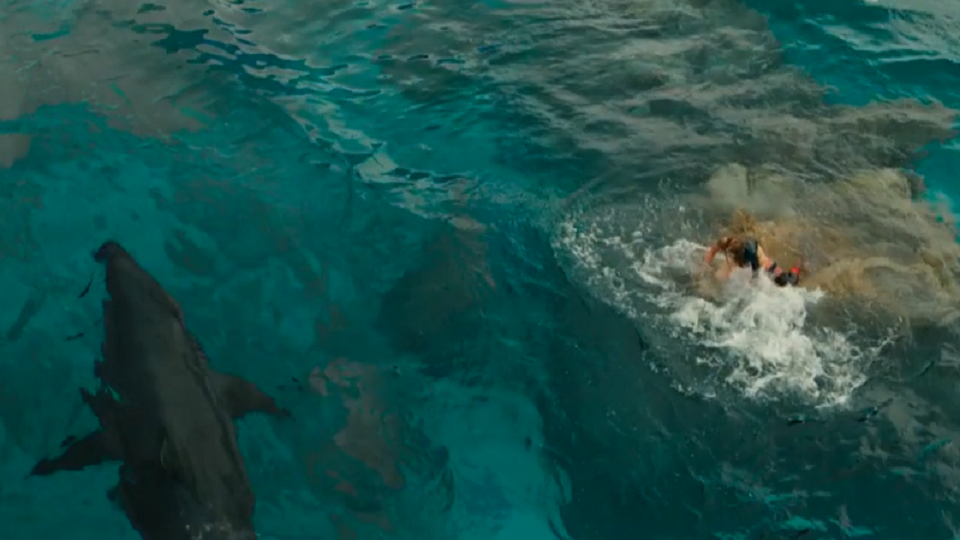 Teaser do filme Águas Rasas - Águas Rasas Teaser Original - AdoroCinema