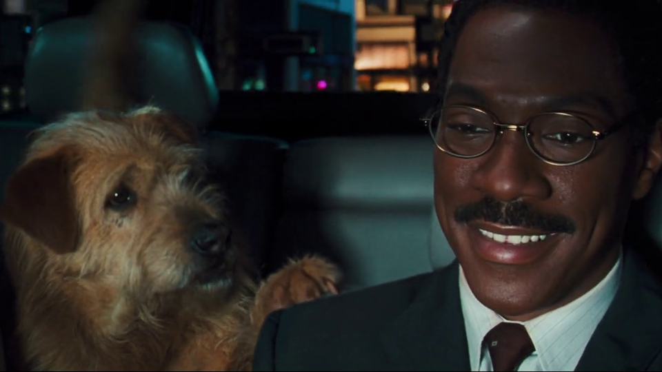 Trailer do filme Dr. Dolittle Dr. Dolittle Trailer Original AdoroCinema